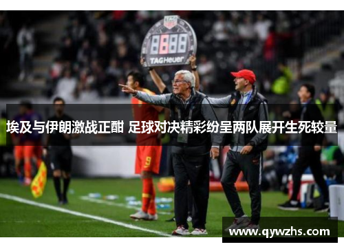 埃及与伊朗激战正酣 足球对决精彩纷呈两队展开生死较量